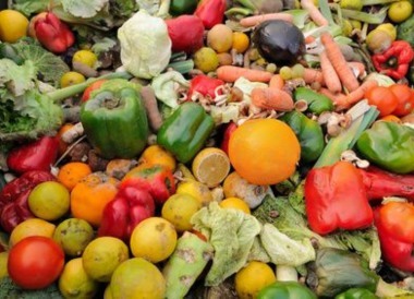 Food Waste 380x274px