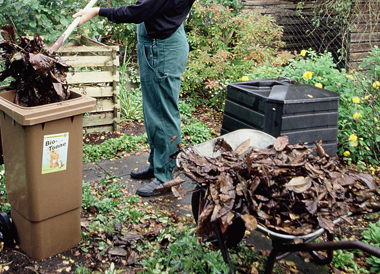 Gartenabfälle jetzt richtig entsorgen