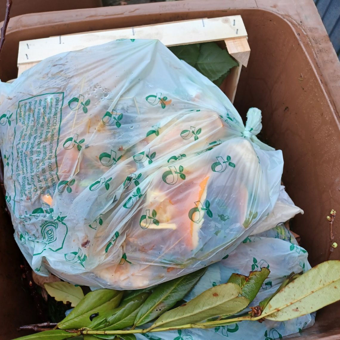 Bioplastiktüte in der Biotonne Bioplastiktüte in der Biotonne