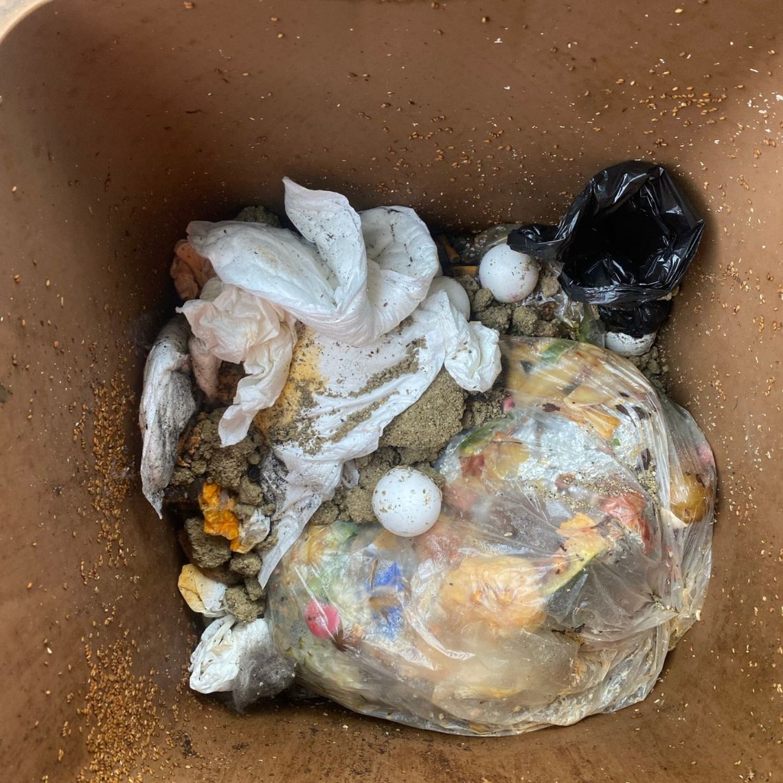 Plastik in der Biotonne