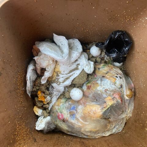 Plastik in der Biotonne