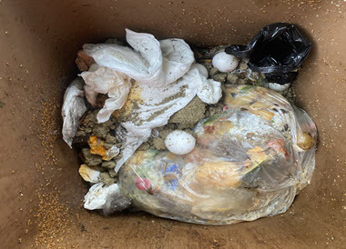 Biotonne fehlbefüllt Biotonne fehlbefüllt
