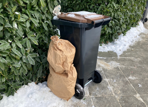 Biotonne Beistellung (1140 x 825 px)