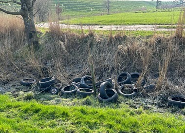 Autoreifen in der Natur_380x275