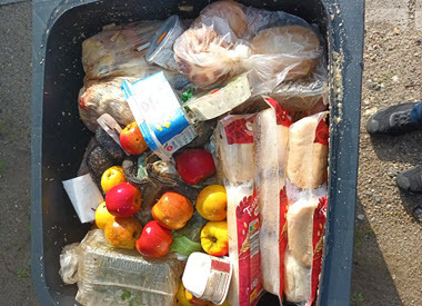 Plastik in der Biotonne_380x275