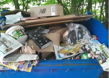 Papiercontainer fehlbefüllt Elmshorn 17.06.24_klein