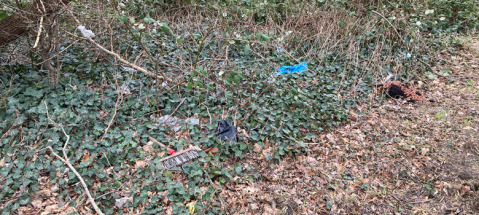 Aktion saubere Landschaft_ verschmutzer Knick_780x350px