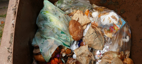 Kein Plastik im Biomüll - falsch befüllte Biotonne Groß_Biotonne falsch befüllt
