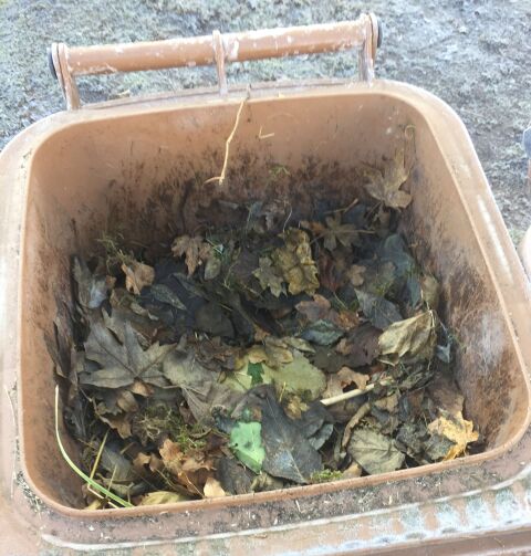 Biotonne_Inhalt gefroren