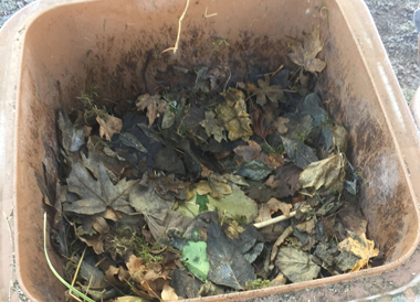 Die Biotonne bei Frosttemperaturen